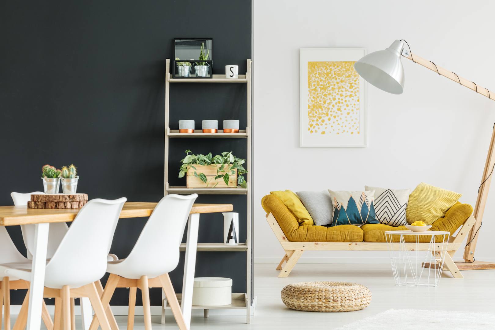 Plants on shelves Ample Apartment
